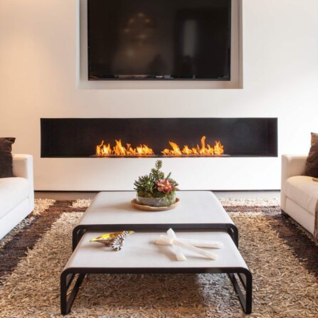 25 reasons to choose flex fireplaces